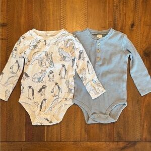 Adorable Animal Print and Blue Buttoned Bodysuits